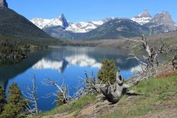 IMG_3371.jpg IMG_3371.jpg