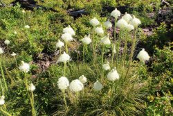 IMG_3380.jpg IMG_3380.jpg