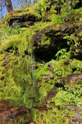 IMG_3381.jpg IMG_3381.jpg