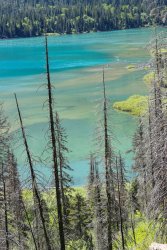 IMG_3384.jpg IMG_3384.jpg