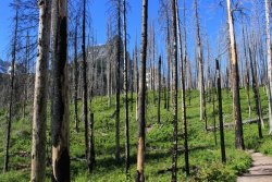 IMG_3388.jpg IMG_3388.jpg