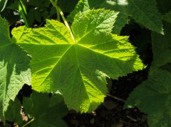 IMG_3392.jpg IMG_3392.jpg