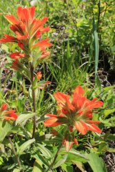 IMG_3393.jpg IMG_3393.jpg