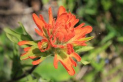 IMG_3425.jpg IMG_3425.jpg