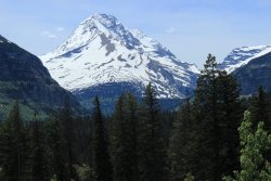 IMG_3436.jpg IMG_3436.jpg