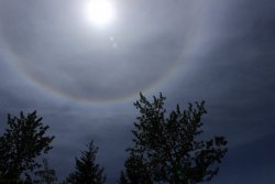 IMG_3439.jpg IMG_3439.jpg