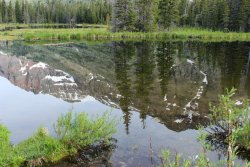 IMG_3450.jpg IMG_3450.jpg