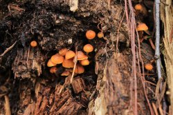 IMG_3456.jpg IMG_3456.jpg