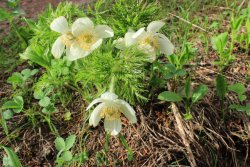 IMG_3458.jpg IMG_3458.jpg