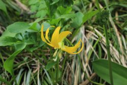 IMG_3461.jpg IMG_3461.jpg