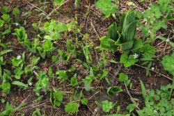 IMG_3467.jpg IMG_3467.jpg