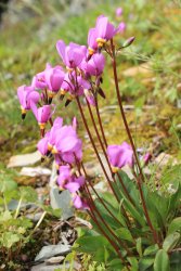 IMG_3479.jpg IMG_3479.jpg