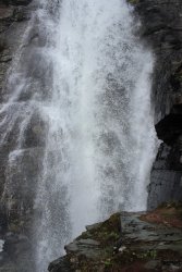 IMG_3482.jpg IMG_3482.jpg