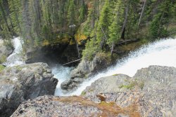 IMG_3484.jpg IMG_3484.jpg