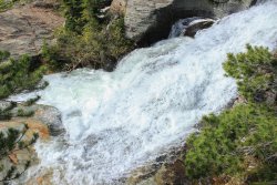 IMG_3490.jpg IMG_3490.jpg