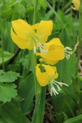 IMG_3504.jpg IMG_3504.jpg