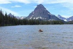 IMG_3509.jpg IMG_3509.jpg