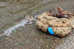 IMG_3511.jpg IMG_3511.jpg