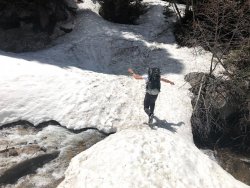 IMG_7643.jpg IMG_7643.jpg