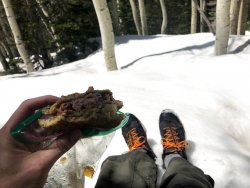 IMG_7654.jpg IMG_7654.jpg