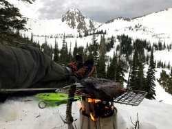 IMG_7670.jpg IMG_7670.jpg