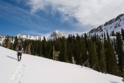 Maybird in May 5-20190026.jpg Maybird in May 5-20190026.jpg