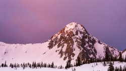 Maybird in May 5-20190076-proc-cr-b.jpg Maybird in May 5-20190076-proc-cr-b.jpg