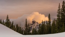 Maybird in May 5-20190111-sm.jpg Maybird in May 5-20190111-sm.jpg