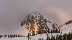 Maybird in May 5-20190115-sm.jpg Maybird in May 5-20190115-sm.jpg