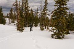 Maybird in May 5-20190193.jpg Maybird in May 5-20190193.jpg