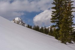 Maybird in May 5-20190213.jpg Maybird in May 5-20190213.jpg