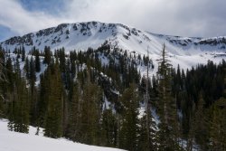 Maybird in May 5-20190011.jpg Maybird in May 5-20190011.jpg