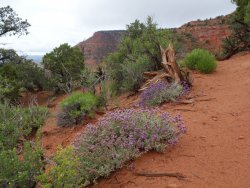 DSC01076.JPG DSC01076.JPG