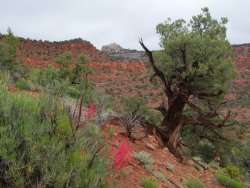 DSC01077.JPG DSC01077.JPG