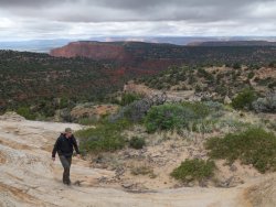 DSC01137.JPG DSC01137.JPG