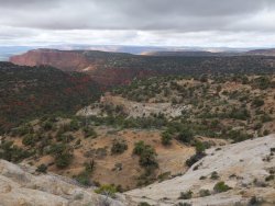 DSC01138.JPG DSC01138.JPG