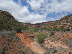 DSC01176.JPG DSC01176.JPG