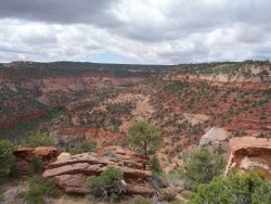 DSC01187.JPG DSC01187.JPG