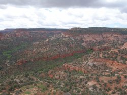 DSC01188.JPG DSC01188.JPG