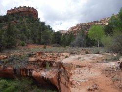 DSC01192.JPG DSC01192.JPG