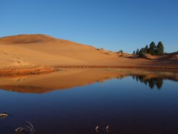 DSC01205.JPG DSC01205.JPG