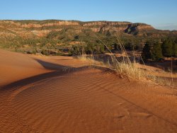 DSC01208.JPG DSC01208.JPG