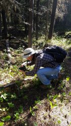 img_3261 20190611_091302.jpg