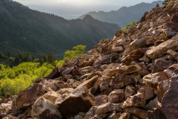 Blanche Again 6-17-20190038.jpg