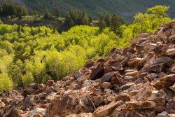 Blanche Again 6-17-20190041.jpg