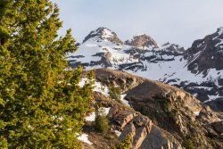 Blanche Again 6-17-20190052.jpg