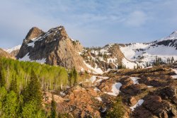 Blanche Again 6-17-20190053.jpg