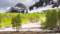 Horse Pasture Friday 6-20190025-proc-sh-crop_1.jpg