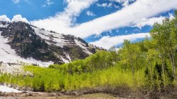 Horse Pasture Friday 6-20190079-proc-sm-crop_1.jpg