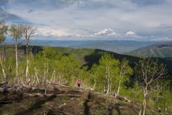 Horse Pasture Friday 6-20190104.jpg